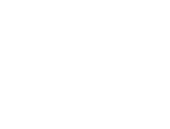 TopTech